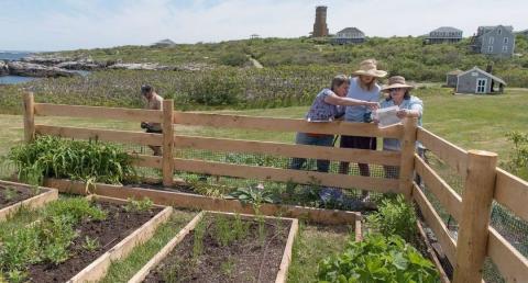 UNH researchers standing by fence surrounding garden outside in summer